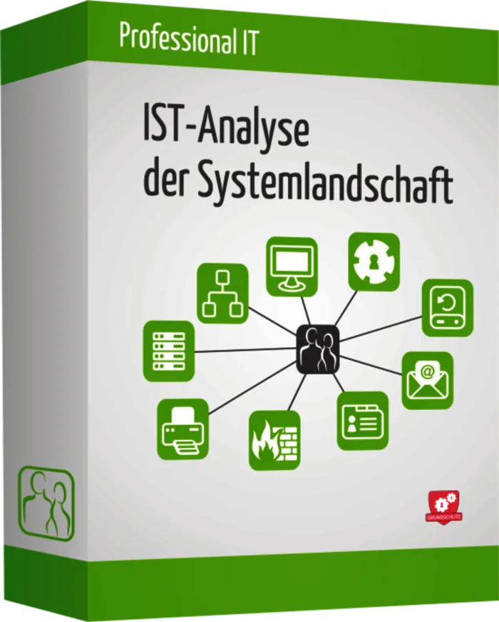 IT-Analyse Detail